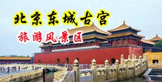 鸡巴玩女人的视频网站在线播放中国北京-东城古宫旅游风景区